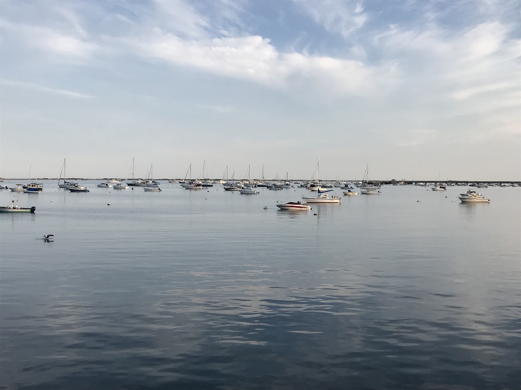 IMG_4657.JPG